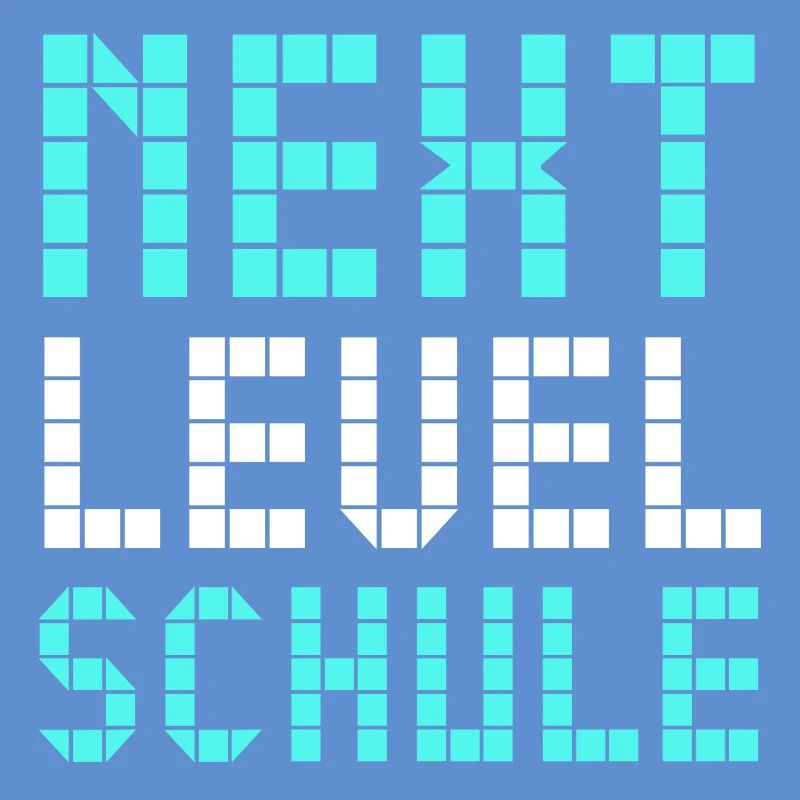 Next Level Schule