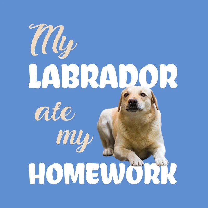 Devoirs du Labrador