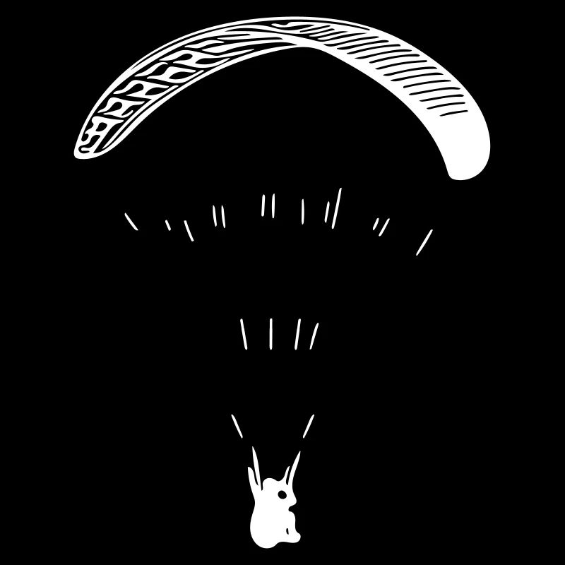 Paraglider