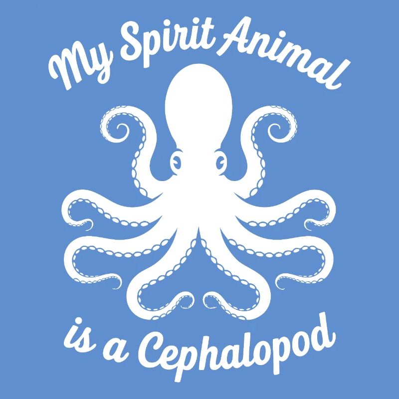 Conception des céphalopodes