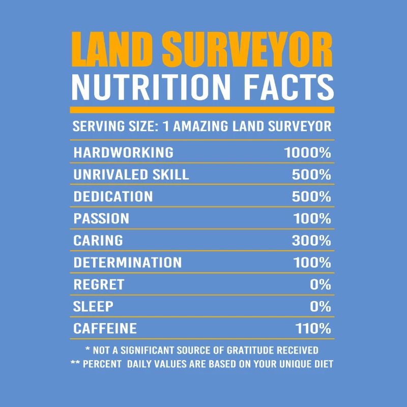 Surveyor