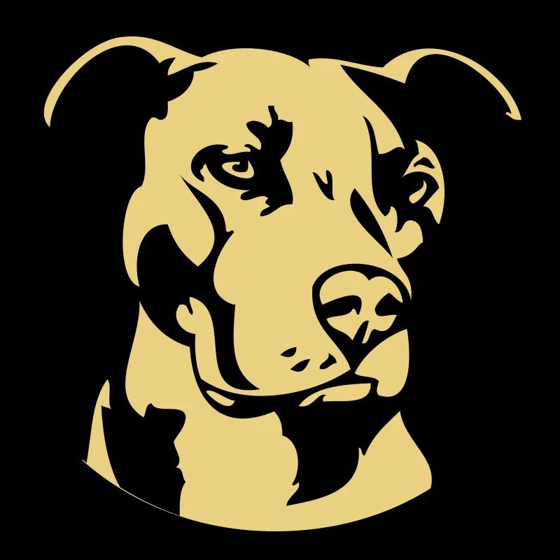 Pitbull zweifarbig - Hund Kampfhund
