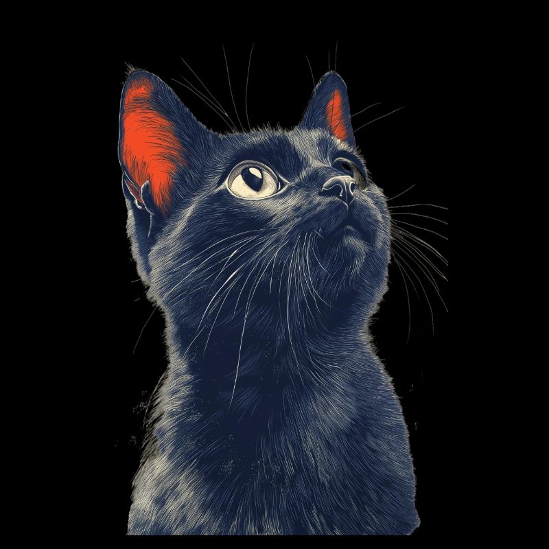 Chat noir