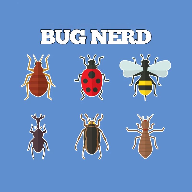 Bug Nerd