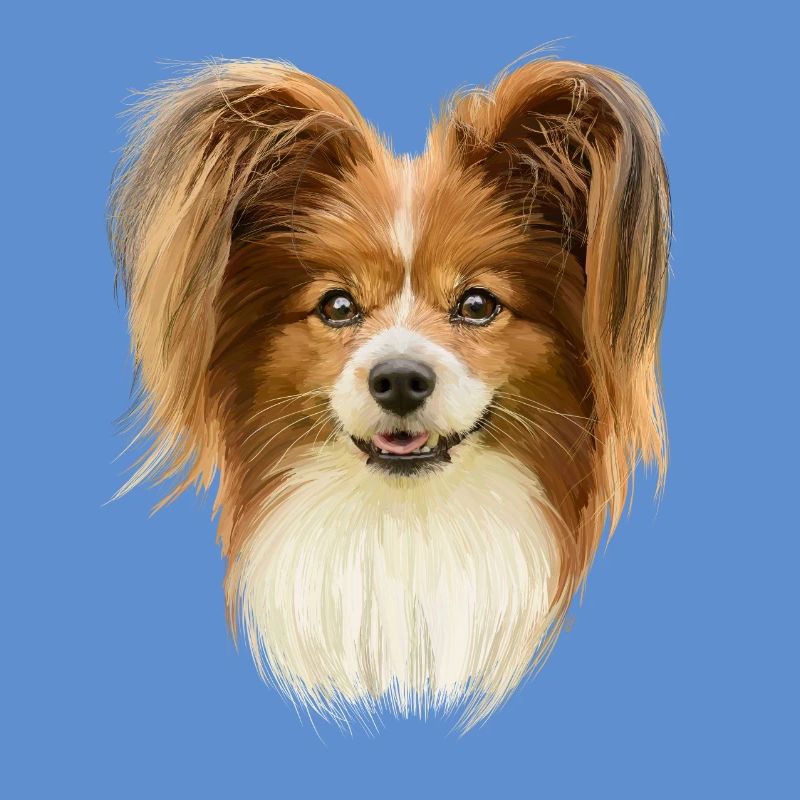 Papillon