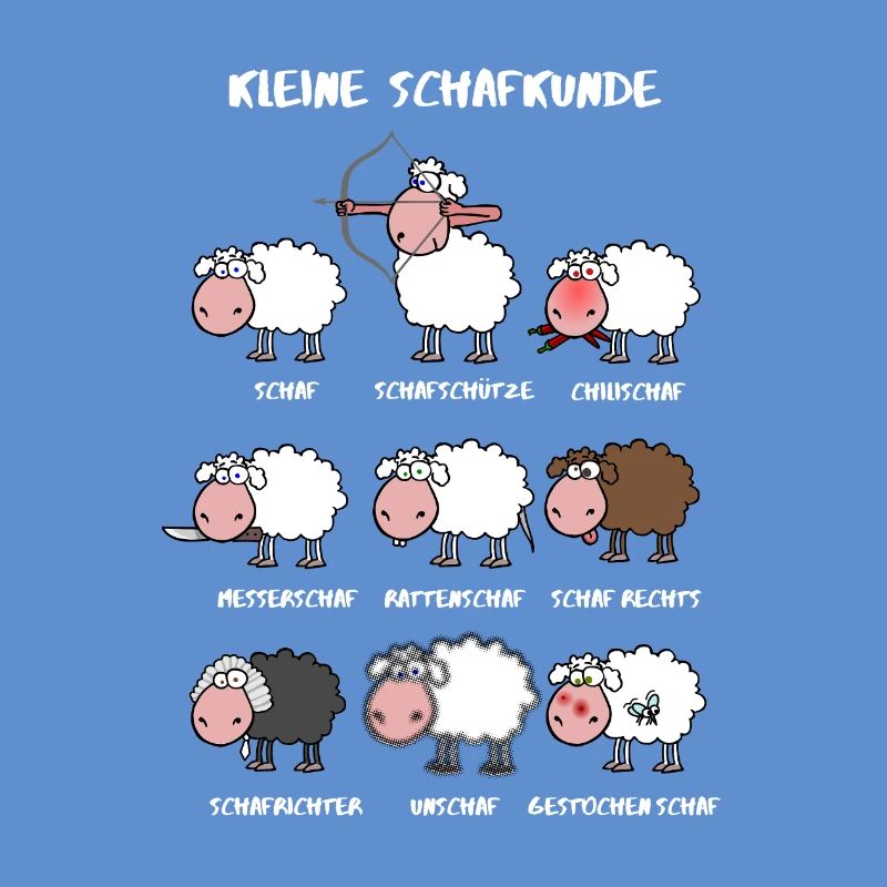 A little sheep knowledge