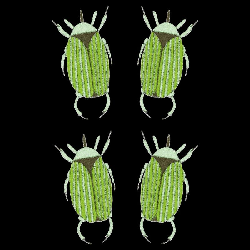 insecte vert