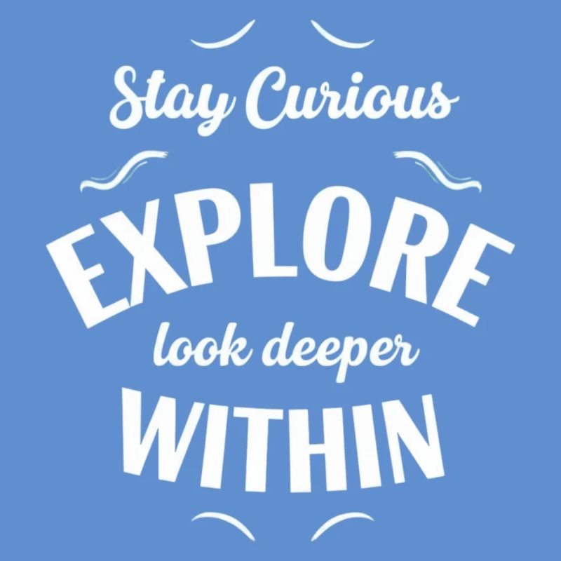 Explore Interior Stay Curious