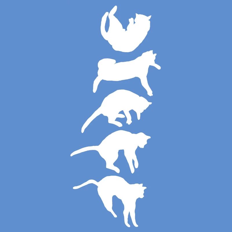 Réflexe de redressement du chat qui tombe