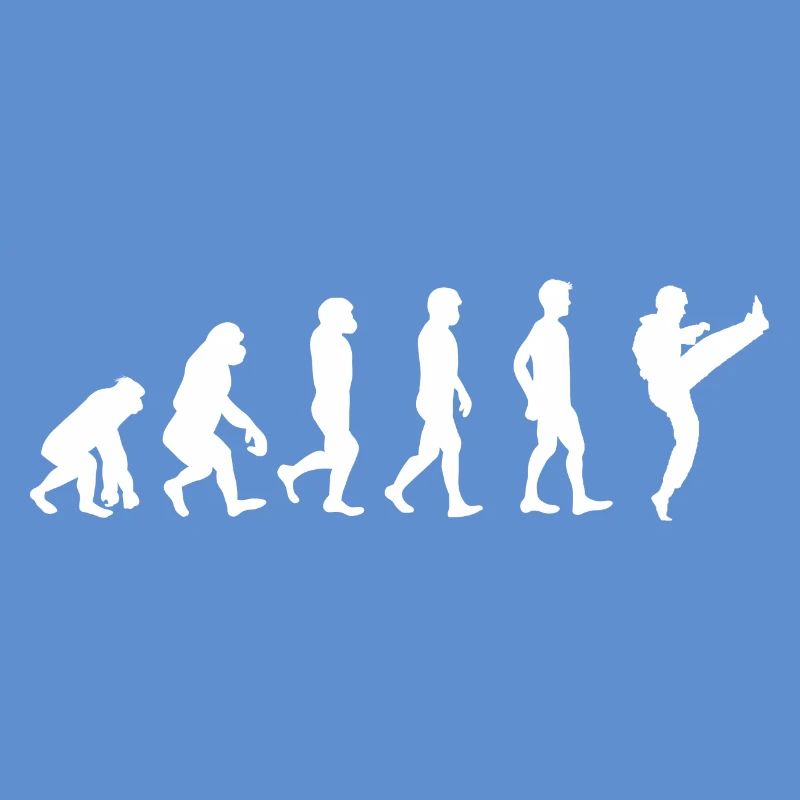 Evolution Karate