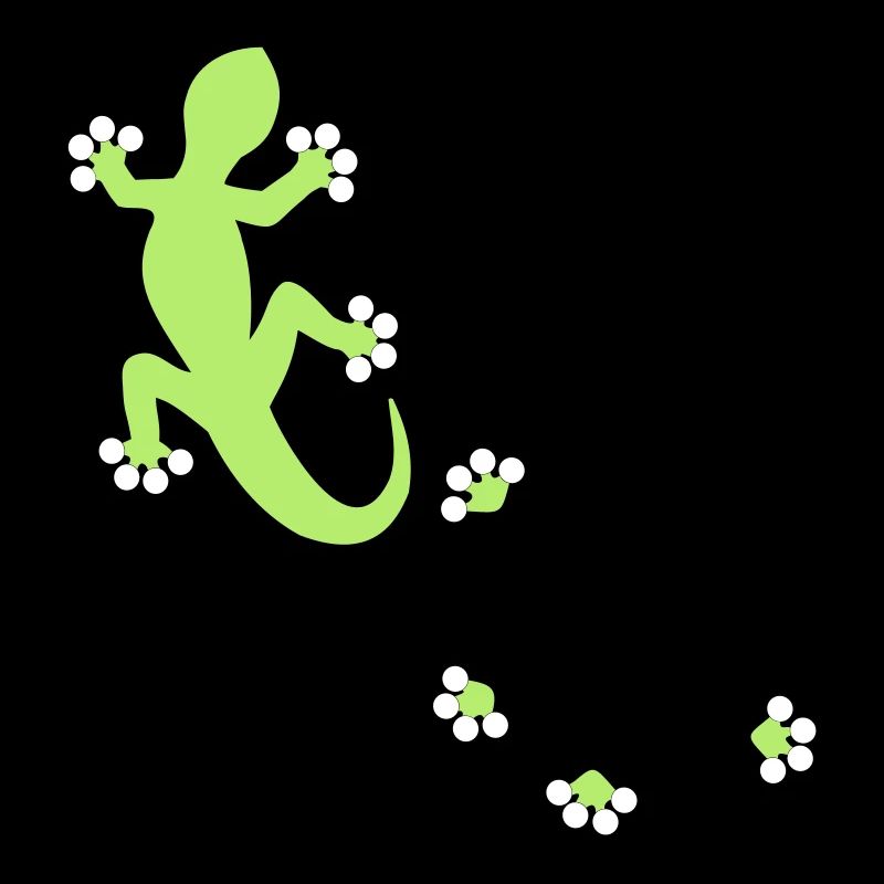 Gecko - 2c