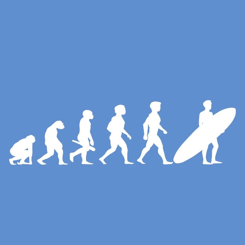 Evolution Surf Surfers surf surf