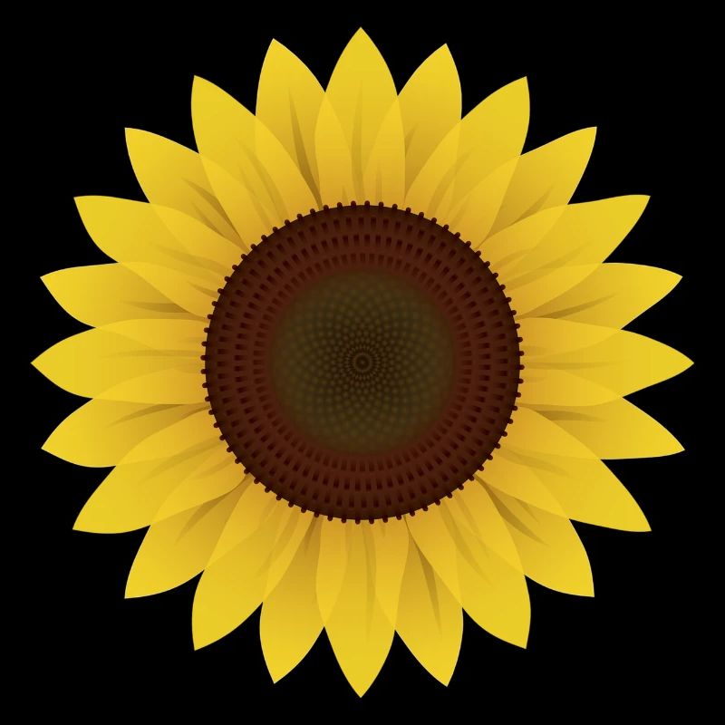Sonnenblume Geschenk Idee