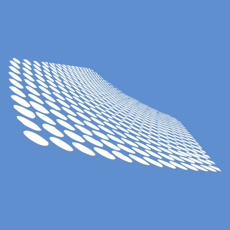 Geometric points on curved horizon surface