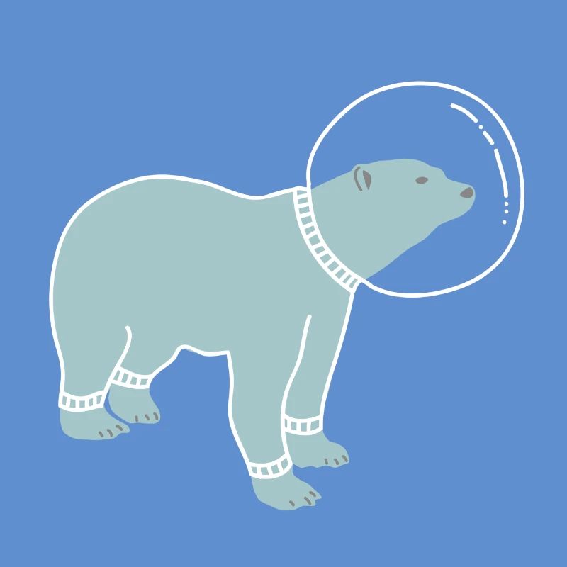 SPACE BEAR