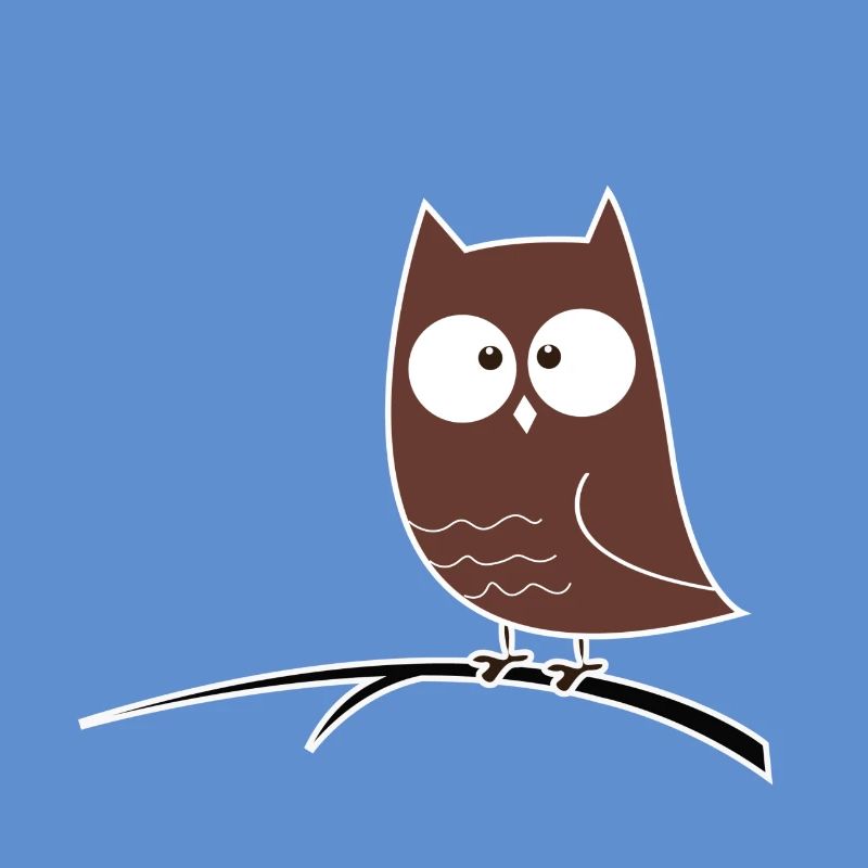 Schielende Eule Geschenk Idee