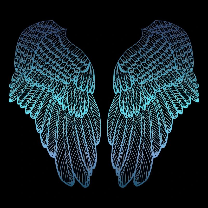 Ailes d'ange aux tons bleues