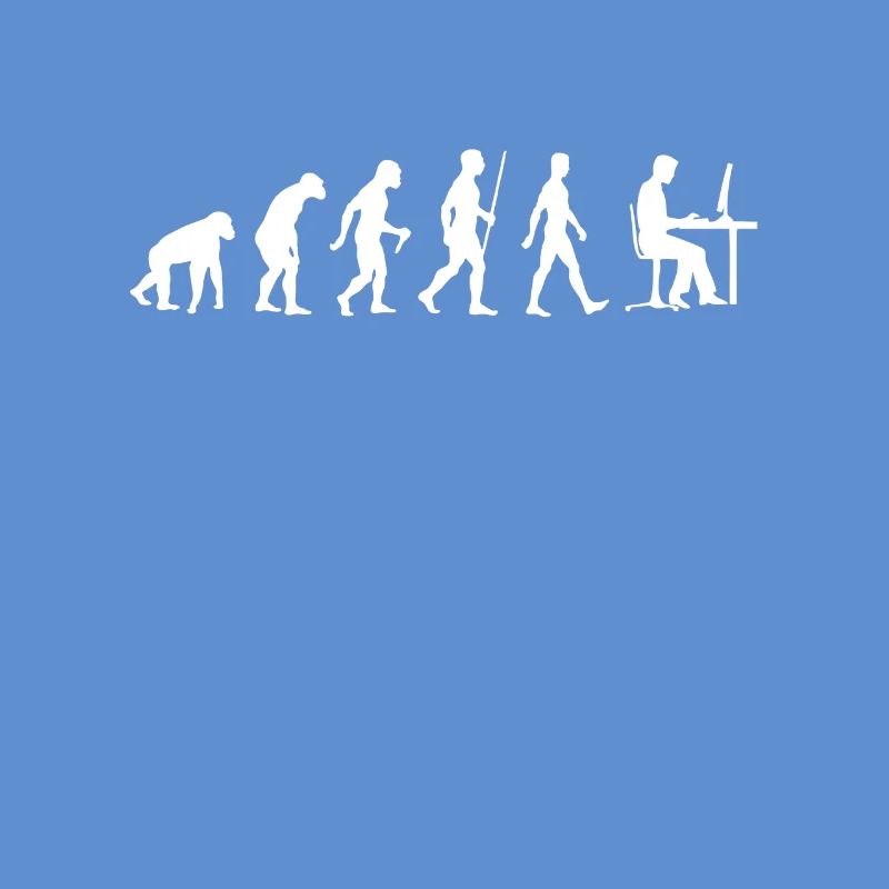 Les programmeurs Evolution développeur informatique