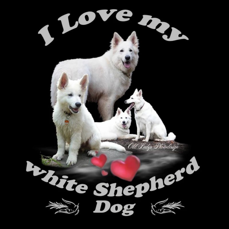 white shepherd dog