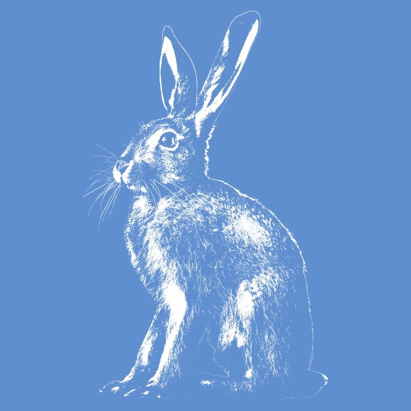 Hare / Bunny / Rabbit // Easter Bunny
