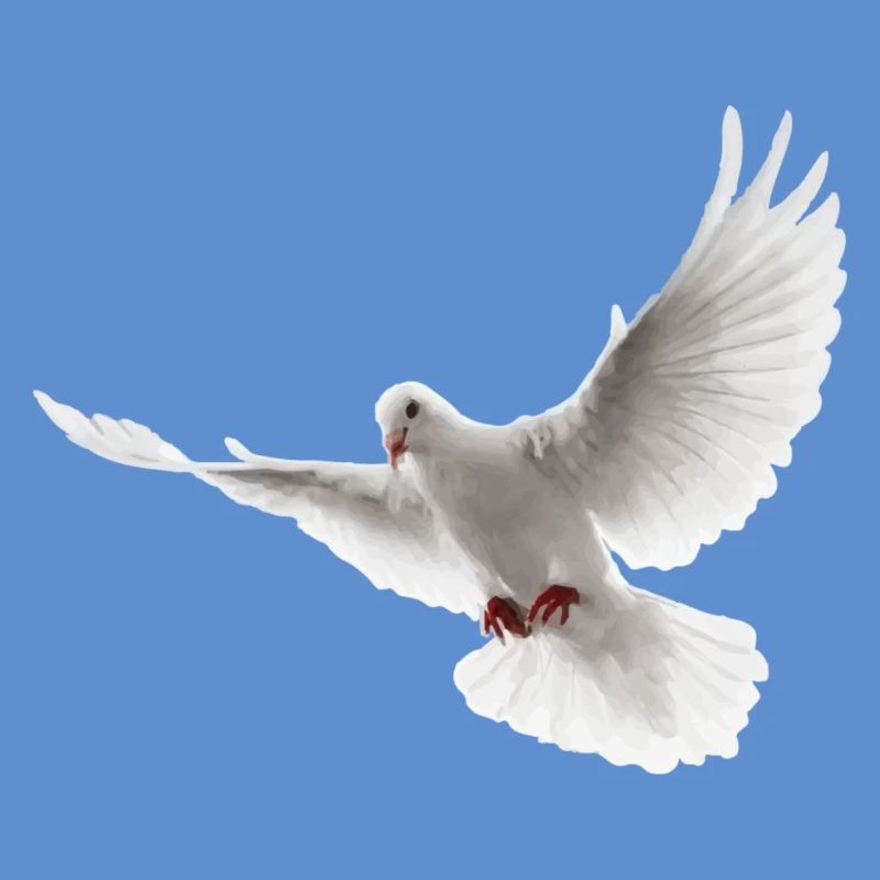 Colombe