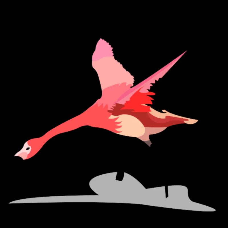 flamant