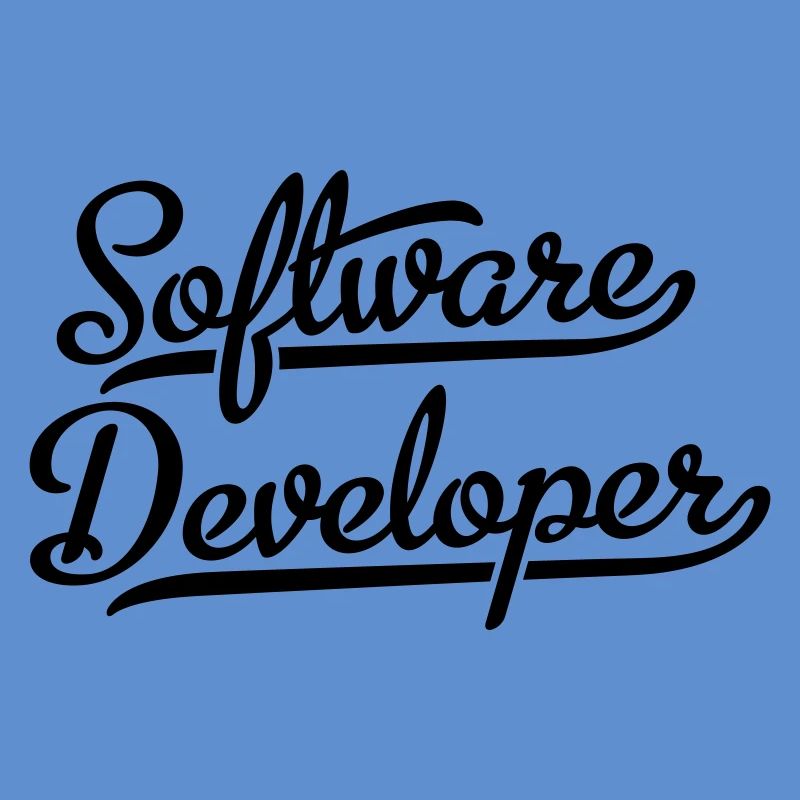 Software Developer