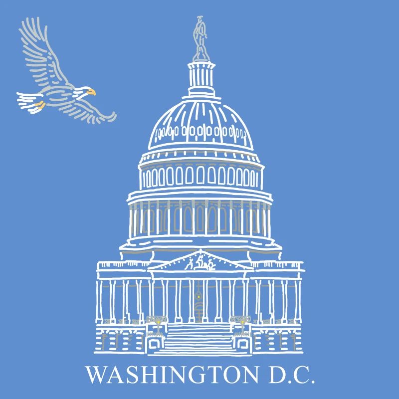Washington D.C., Capitol Structure, Bald Eagle