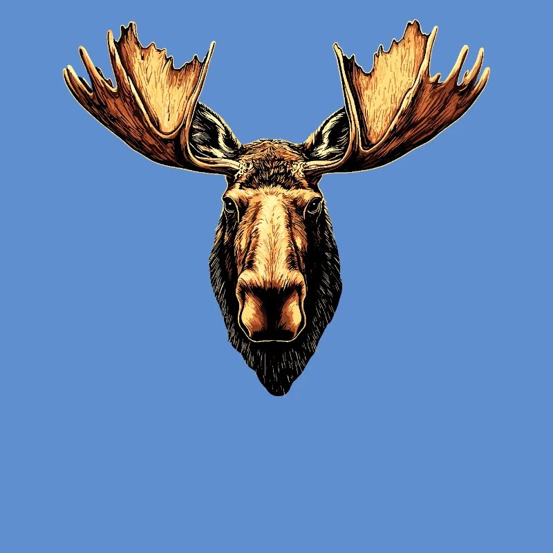 Elch Moose Elchbulle Geweih Hirsch Wilde Elche
