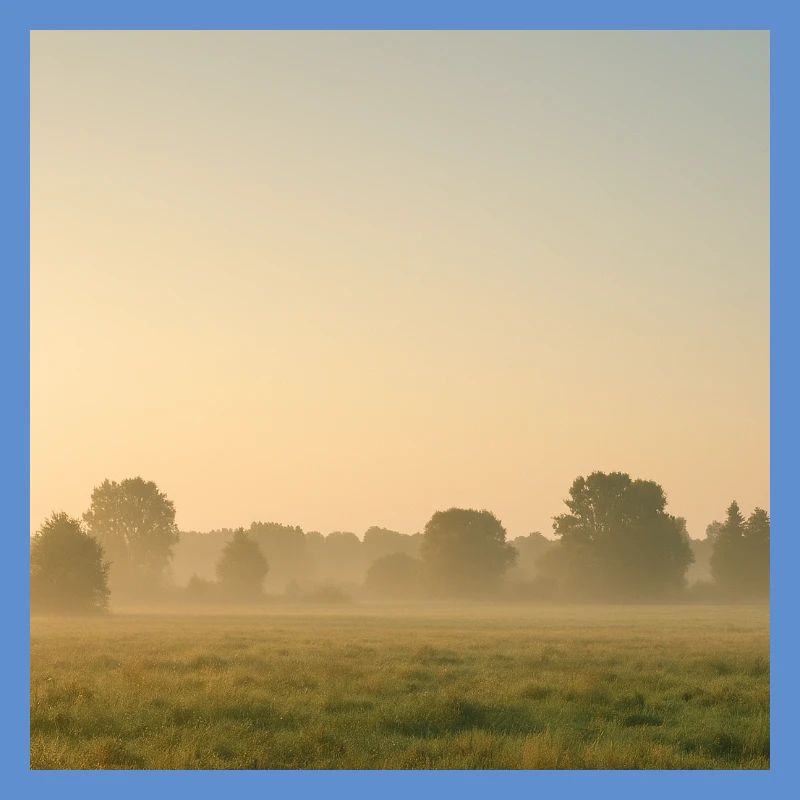Brouillard matinal sur la prairie dorée