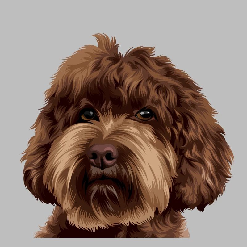 Schnoodle Doodle Dog