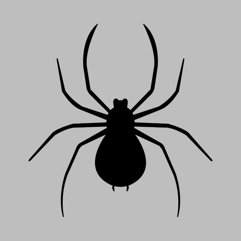 Spinne