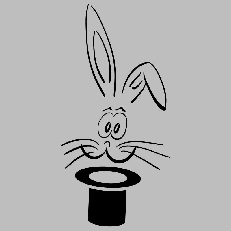 hase wizard