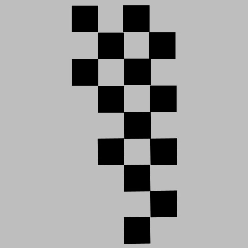RACING FLAG