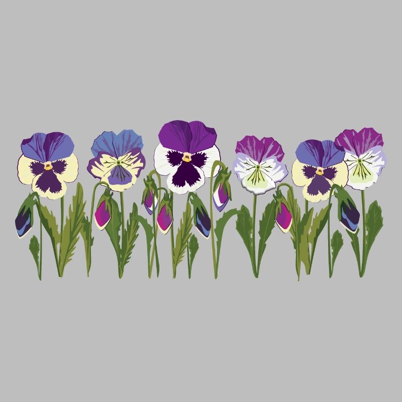 Rangée de fleurs de pensée en violet