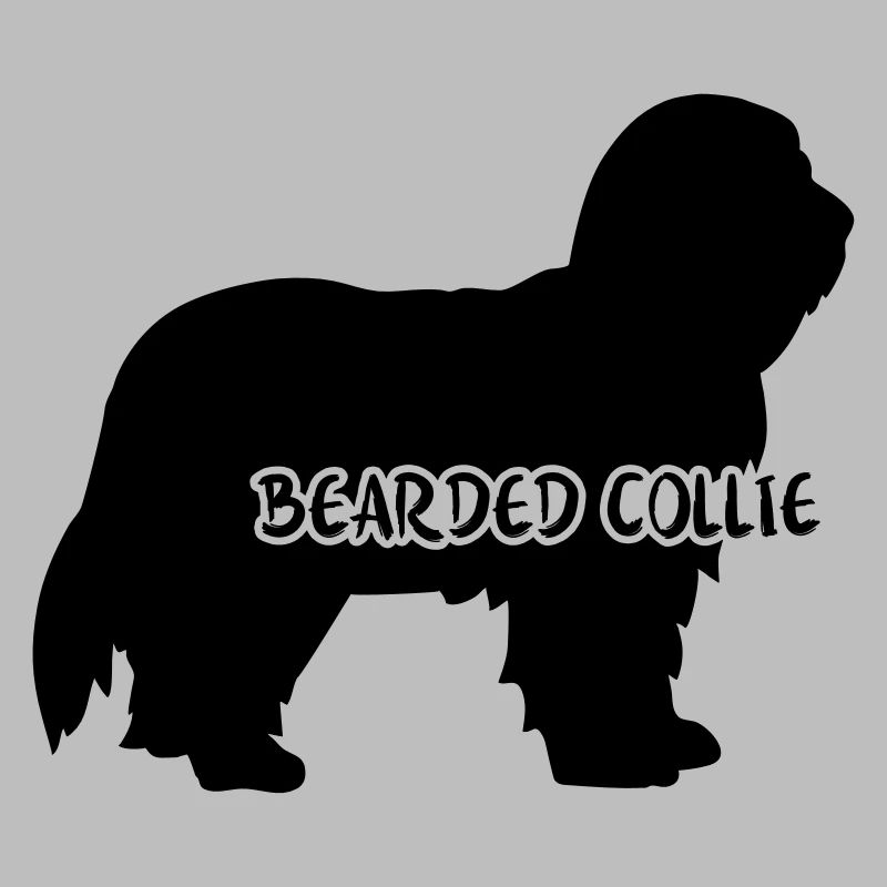 Bearded Collie