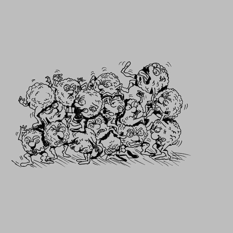 Cellules querelleuses 2