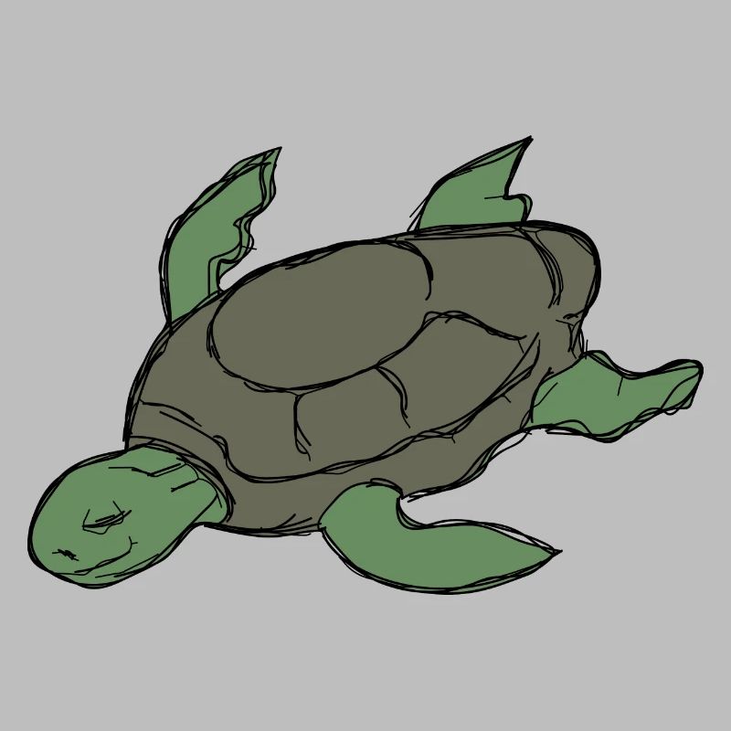 Tortoise