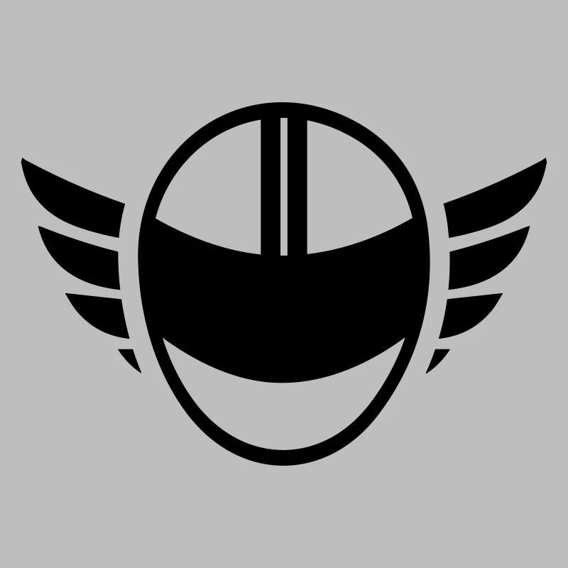 Motorcycle helmet with wings