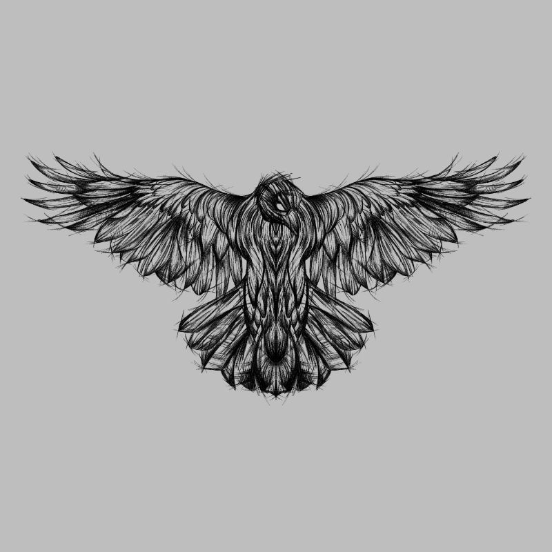 Graphic raven drawing sketch type