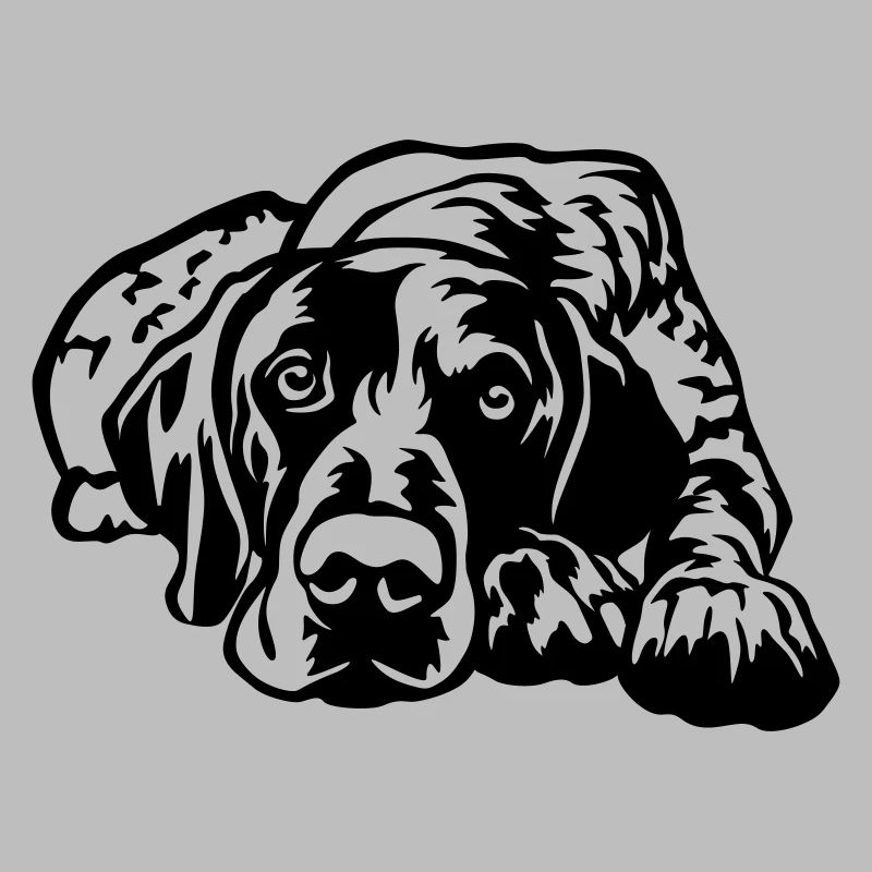 German Shorthaired Pointer