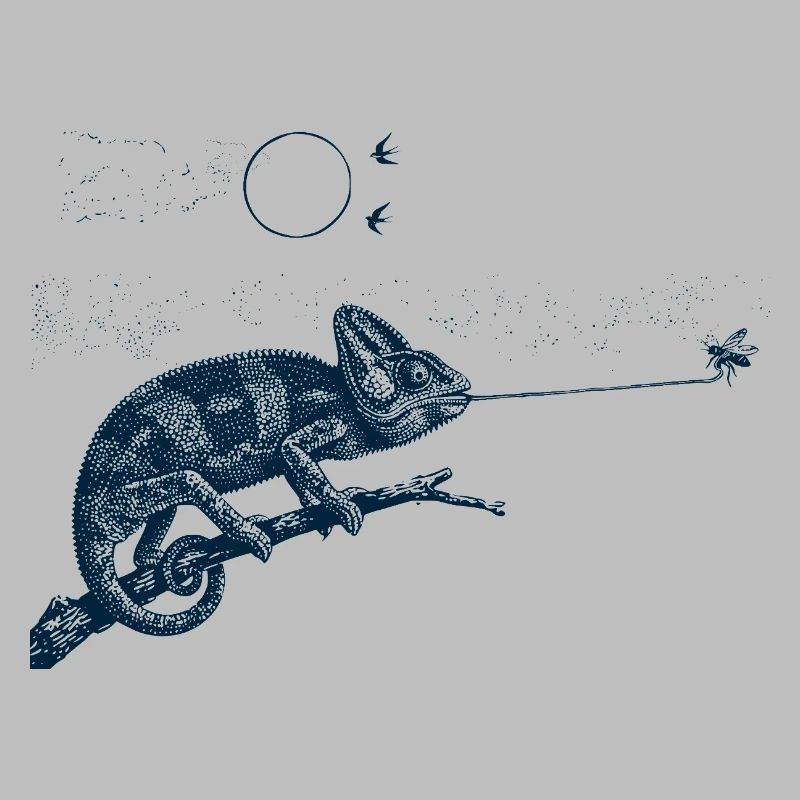 Caméléon gobemouche