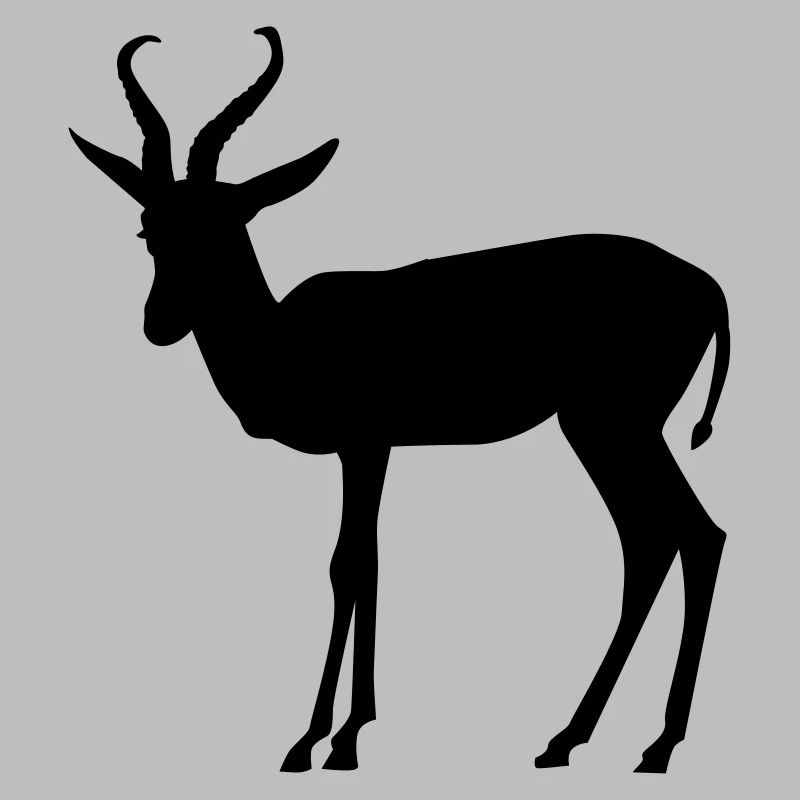 Springbok