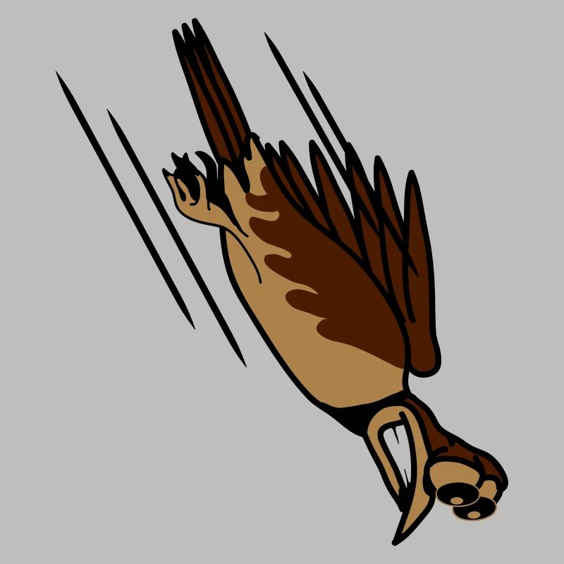 funny bird crash cool funny comic