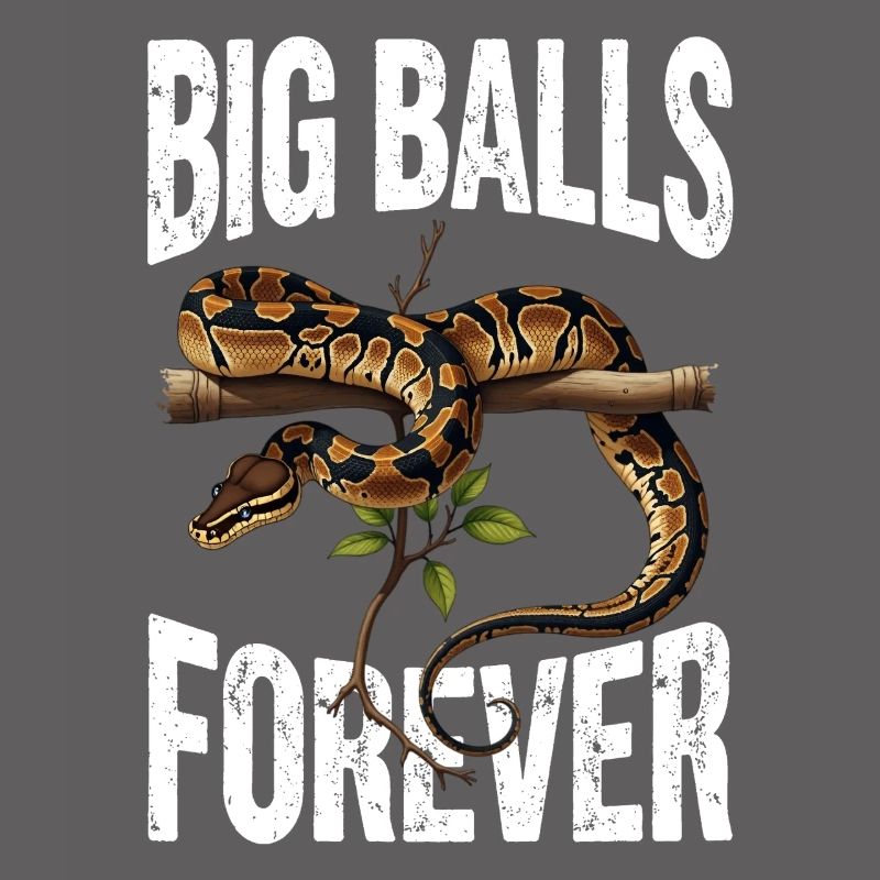 Python roi Serpents Amateurs de terrarium Python