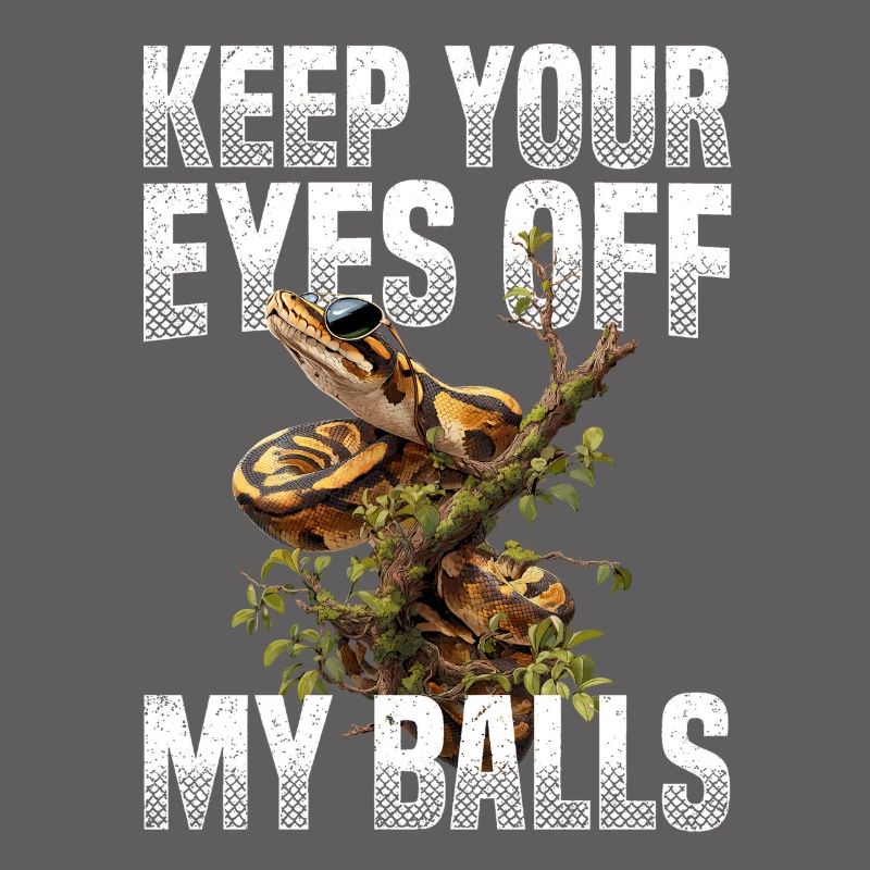 Python roi Serpents Amateurs de terrarium Python