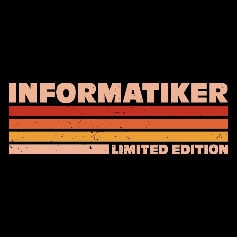 Informatiker Informatikerin Informatik
