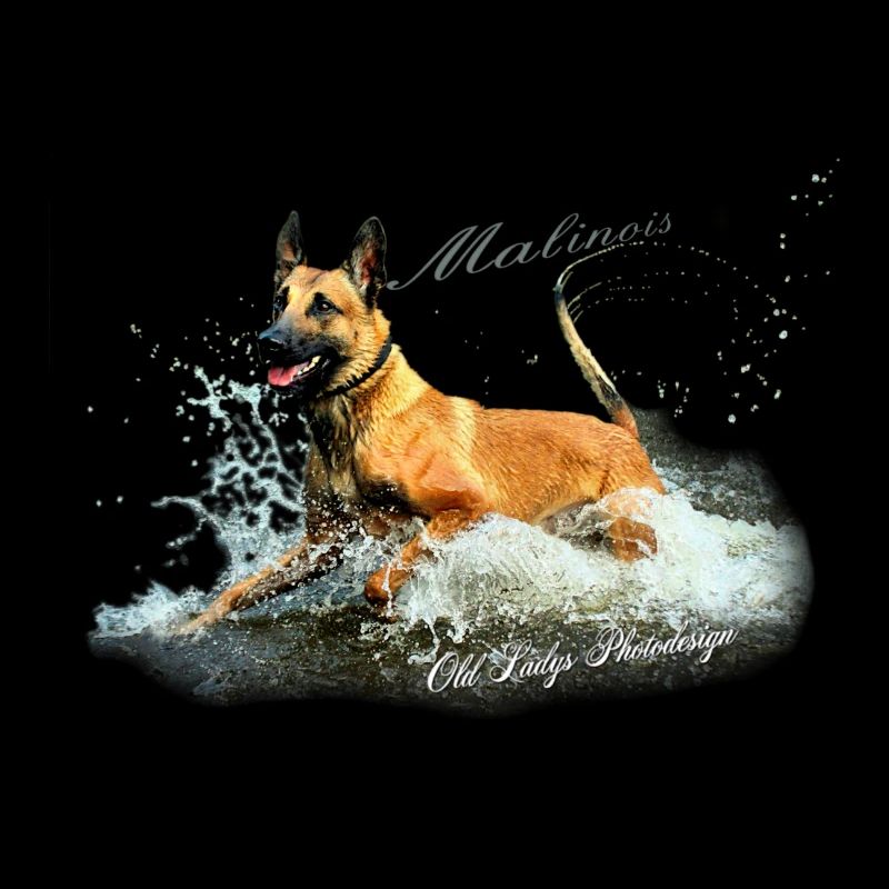 Malinois-Wasserratte