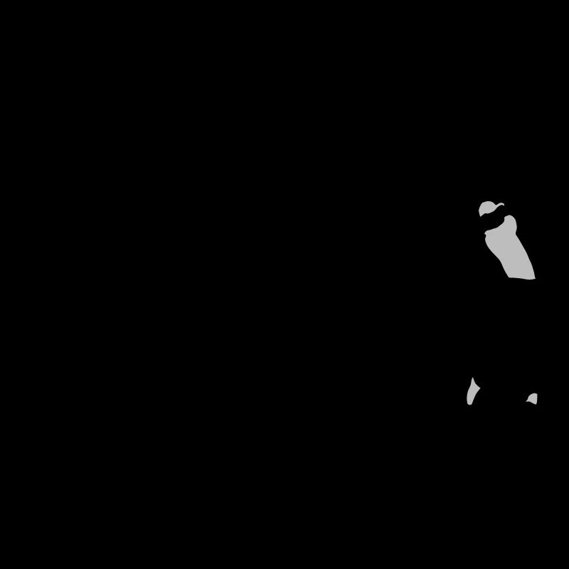 evolution_golf_b_2c
