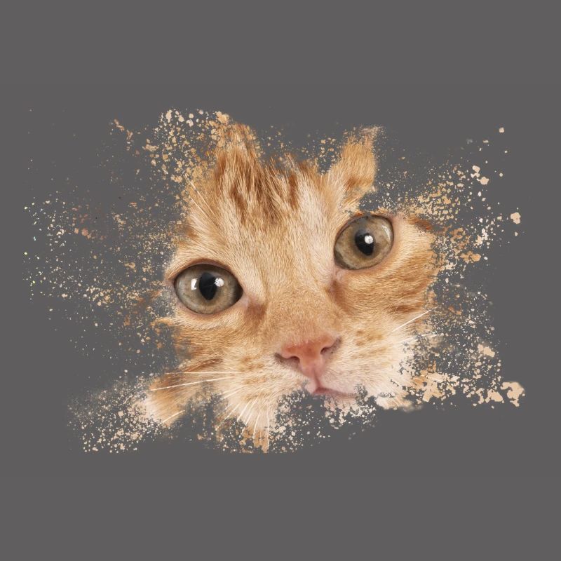 Chat orange avec éclaboussure d’aquarelle